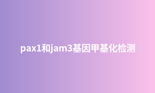 pax1和jam3基因甲基化检测