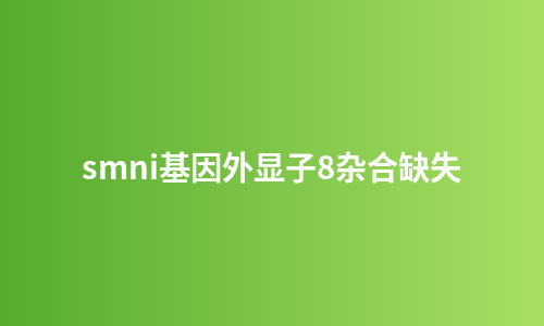 smni基因外显子8杂合缺失