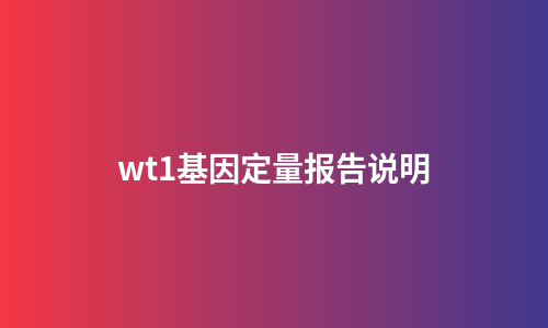 wt1基因定量报告说明