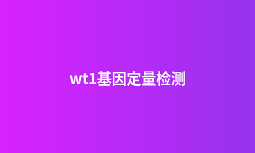 wt1基因定量检测