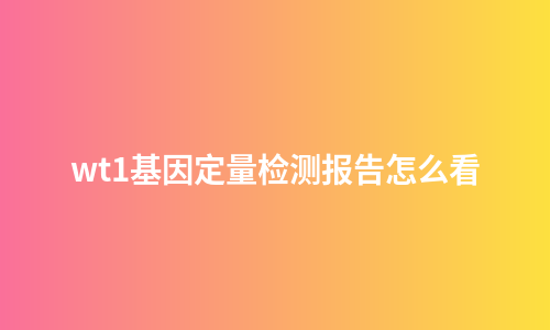 wt1基因定量检测报告怎么看