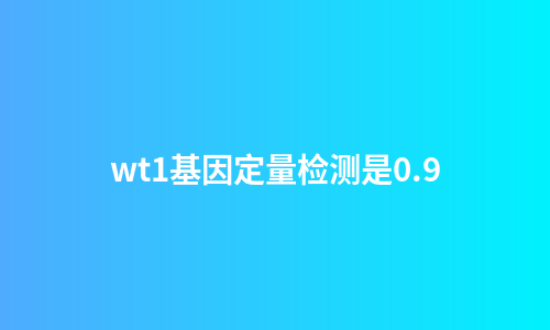 wt1基因定量检测是0.9