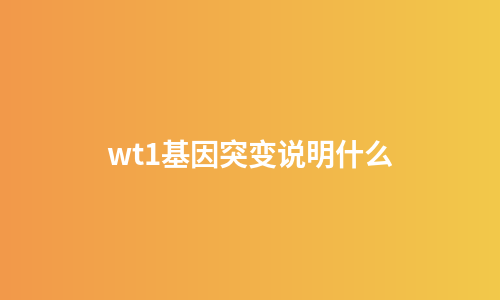 wt1基因突变说明什么