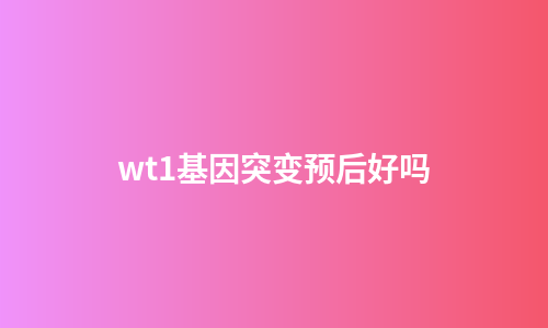 wt1基因突变预后好吗