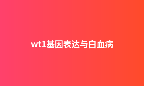 wt1基因表达与白血病