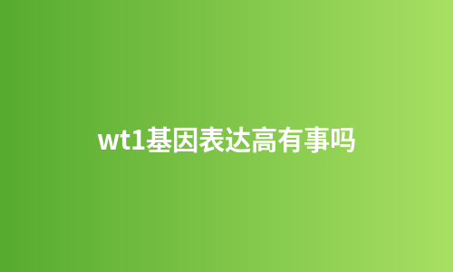 wt1基因表达高有事吗