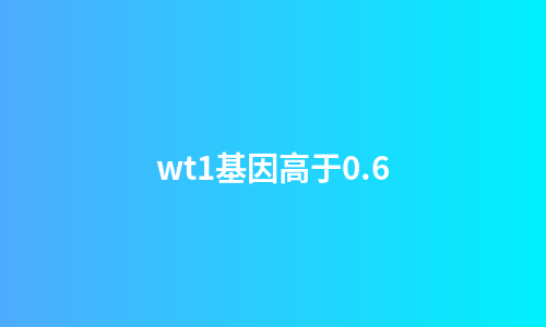 wt1基因高于0.6