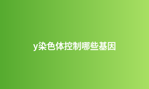 y染色体控制哪些基因