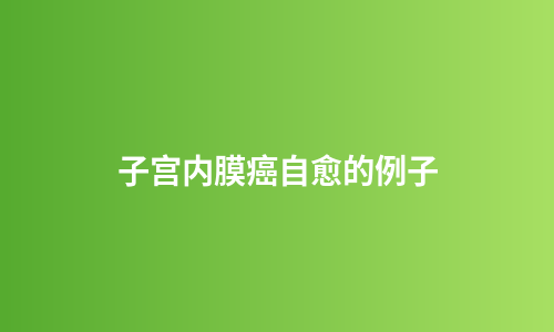 子宫内膜癌自愈的例子