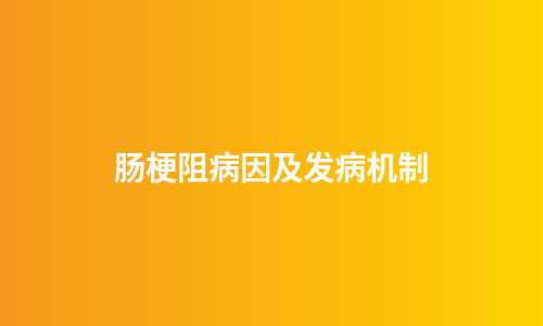 肠梗阻病因及发病机制